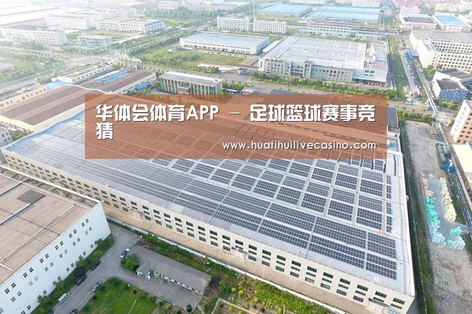 案例展示二