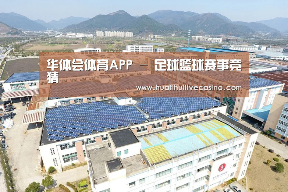 案例展示一