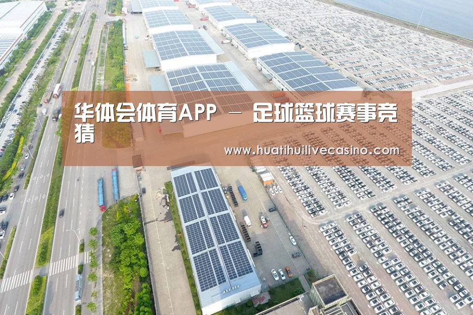 案例展示一