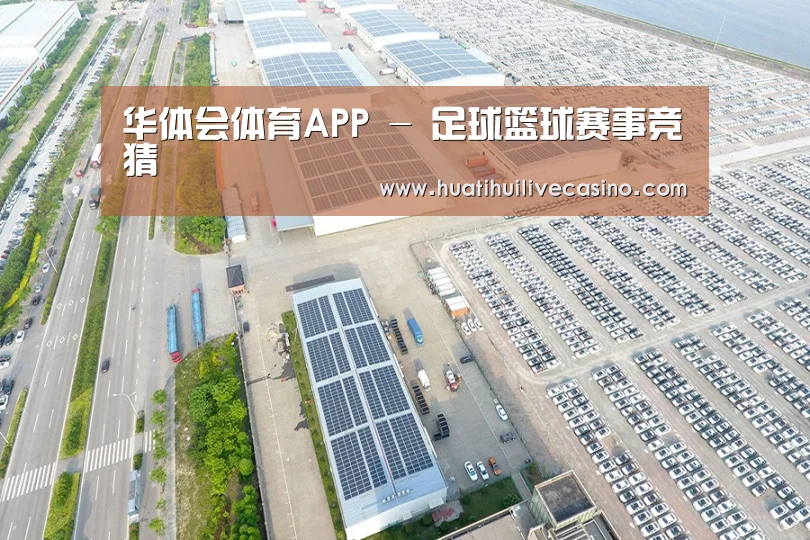 案例展示四