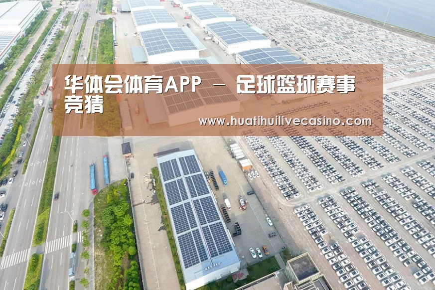 案例展示三