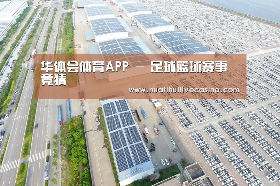 案例展示二