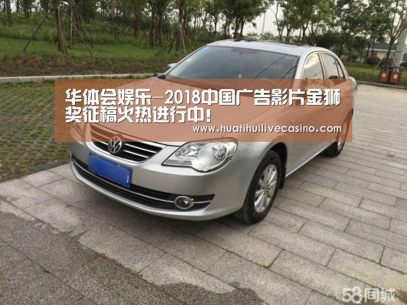 华体会娱乐-2018中国广告影片金狮奖征稿火热进行中!(图3) 华体会娱乐