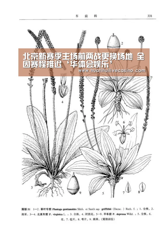 北京新赛季主场前两战更换场地 全因赛程推迟‘华体会娱乐’(图1) 华体会登录
