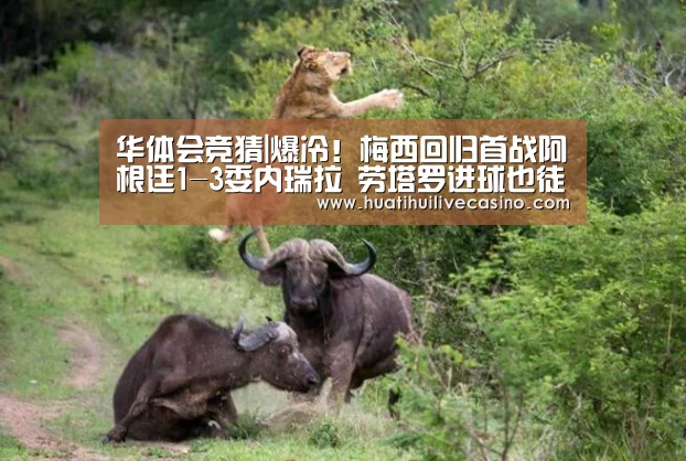 华体会竞猜|爆冷!梅西回归首战阿根廷1-3委内瑞拉 劳塔罗进球也徒劳(图1) 华体会竞猜
