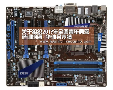 关于组织2019年全国青年男篮冬训的函-华体会竞猜(图2) 华体会竞猜