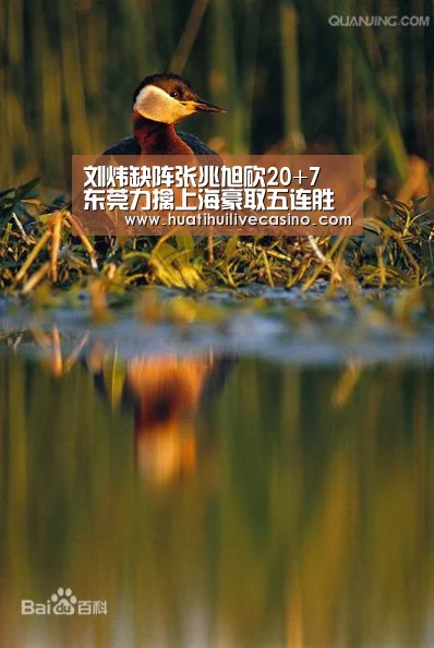 华体会登录